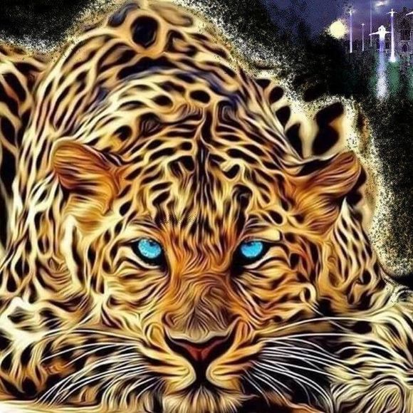 Meet your Posher, Steven - Picture 1 of 2